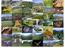 biodiversité natura 2000 riviera roya