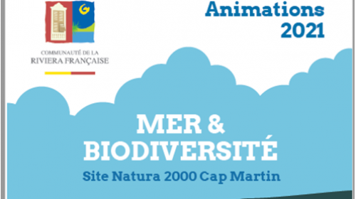 2021_mer_et_biodiversite.png